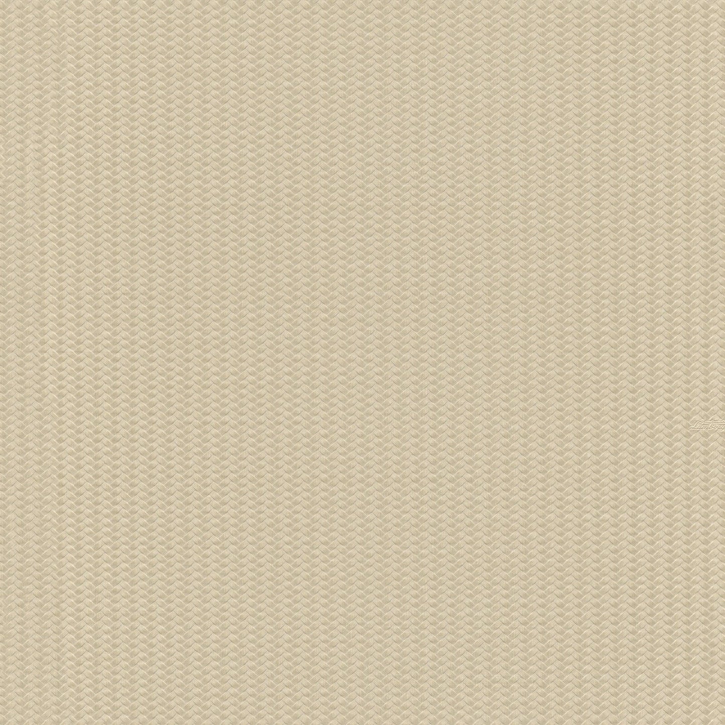 Beige Grafisch - ZM34-0812 - Image1 - Lamborghini - Z12834