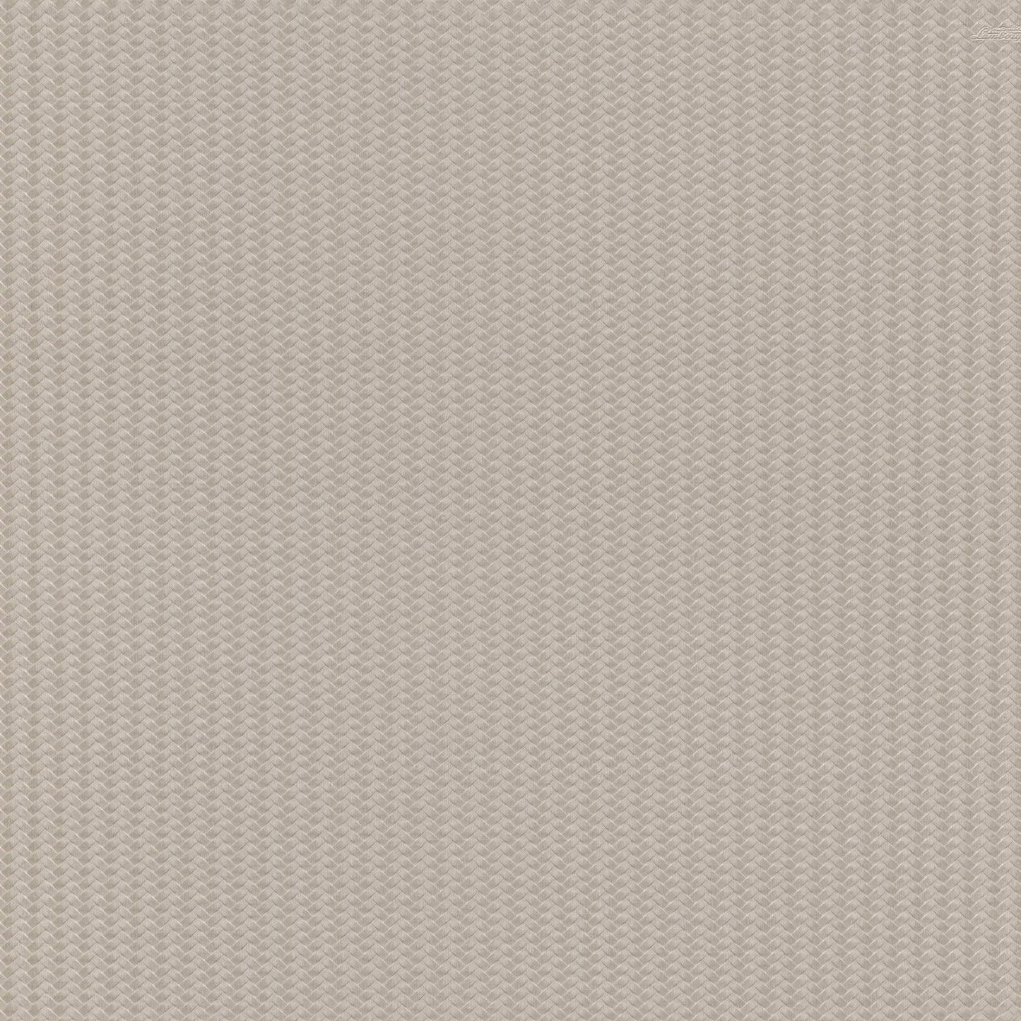 Taupe Grafisch - ZM39-0812 - Image1 - Lamborghini - Z12839