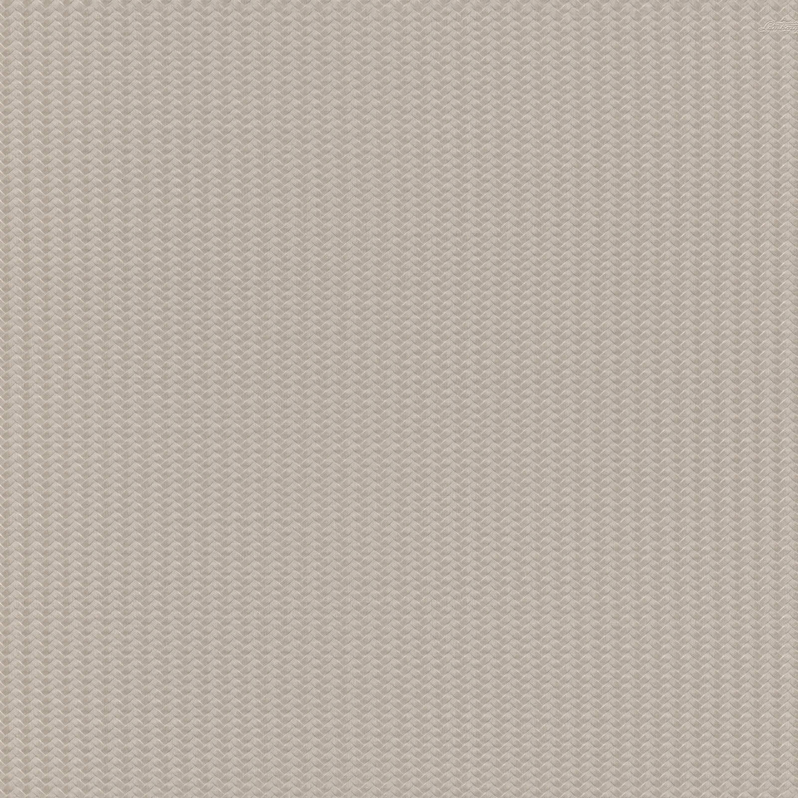 Taupe Grafisch - ZM39-0812 - Image1 - Lamborghini - Z12839