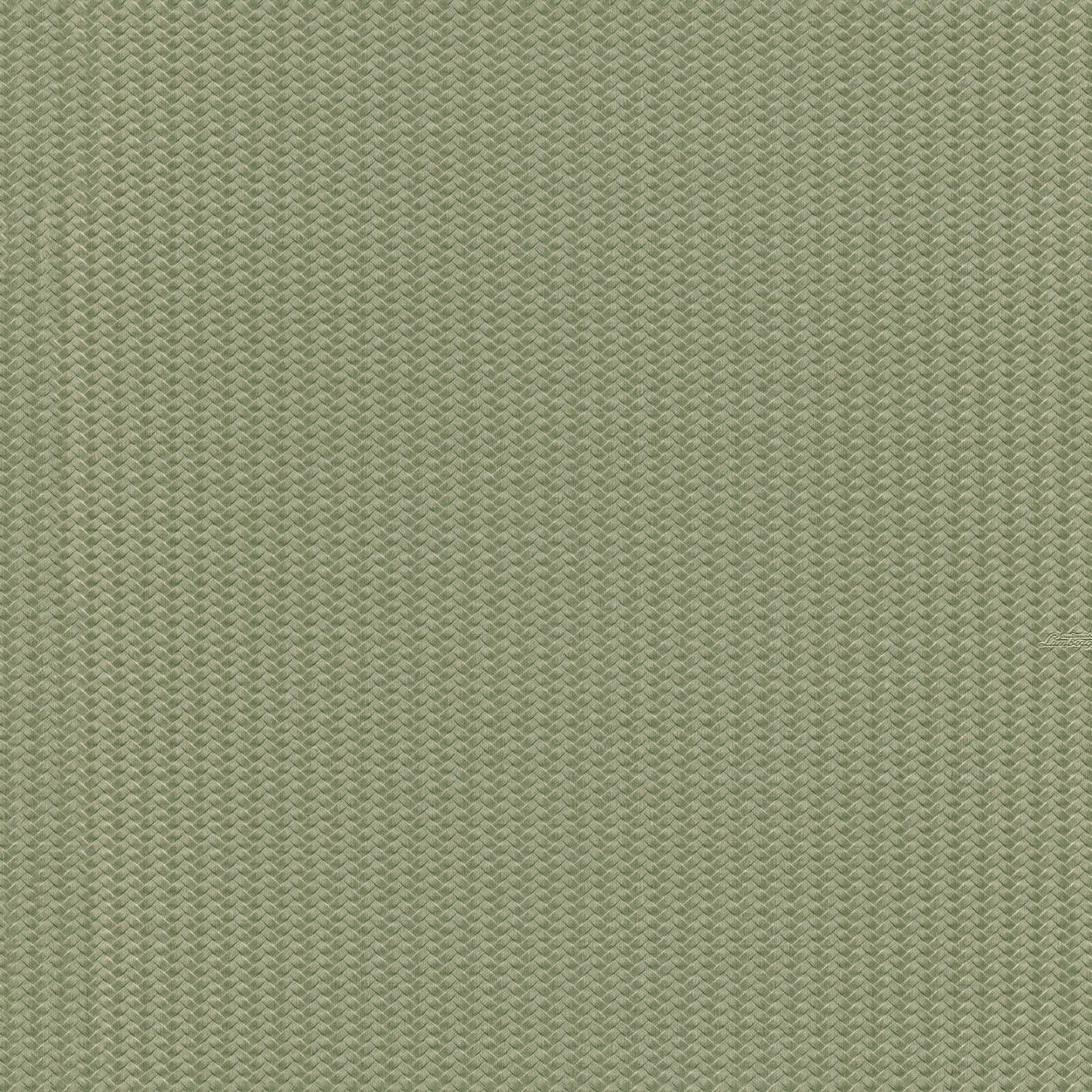 Groen Grafisch - ZM42-0812 - Image1 - Lamborghini - Z12842