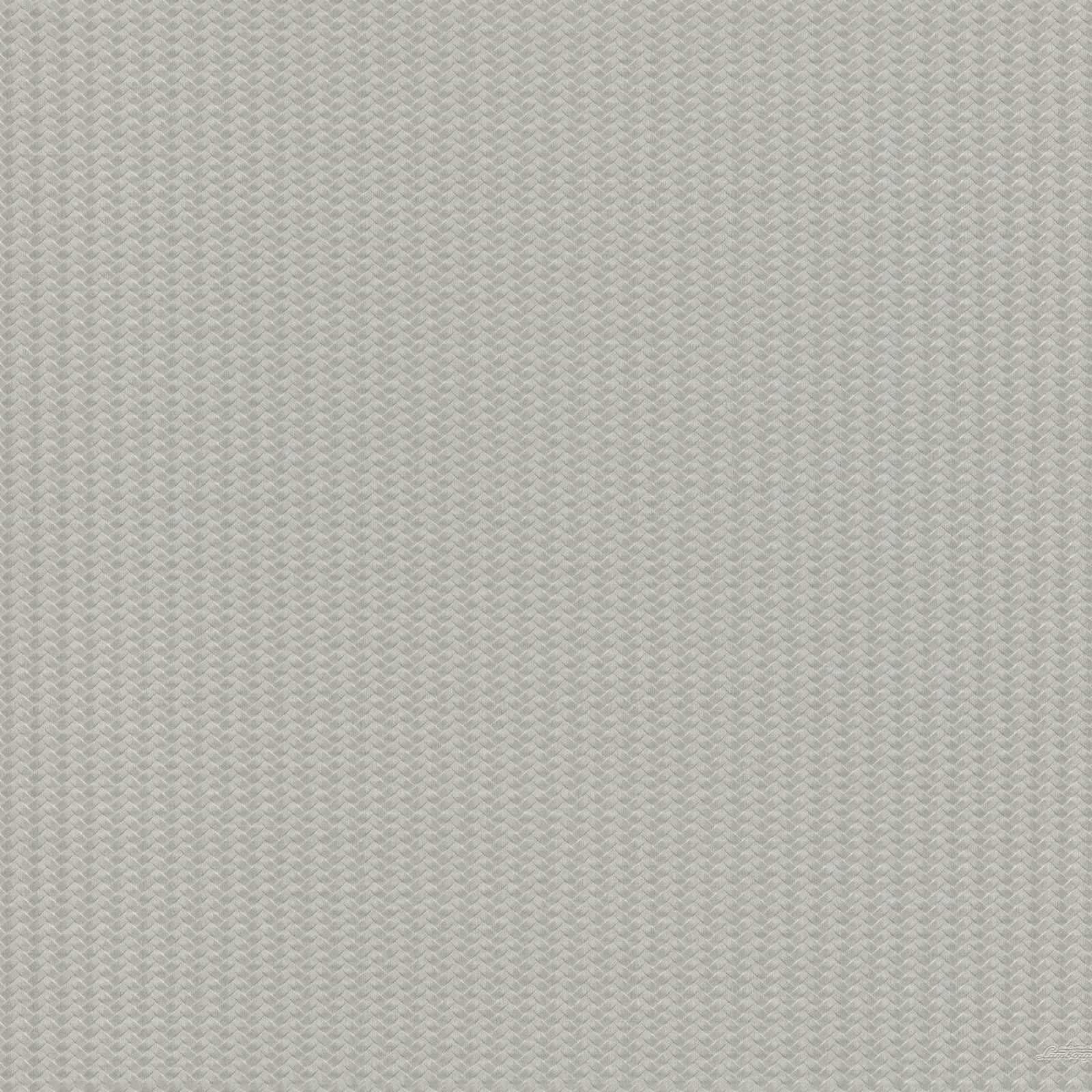 Zilver Grafisch - ZM43-0812 - Image1 - Lamborghini - Z12843