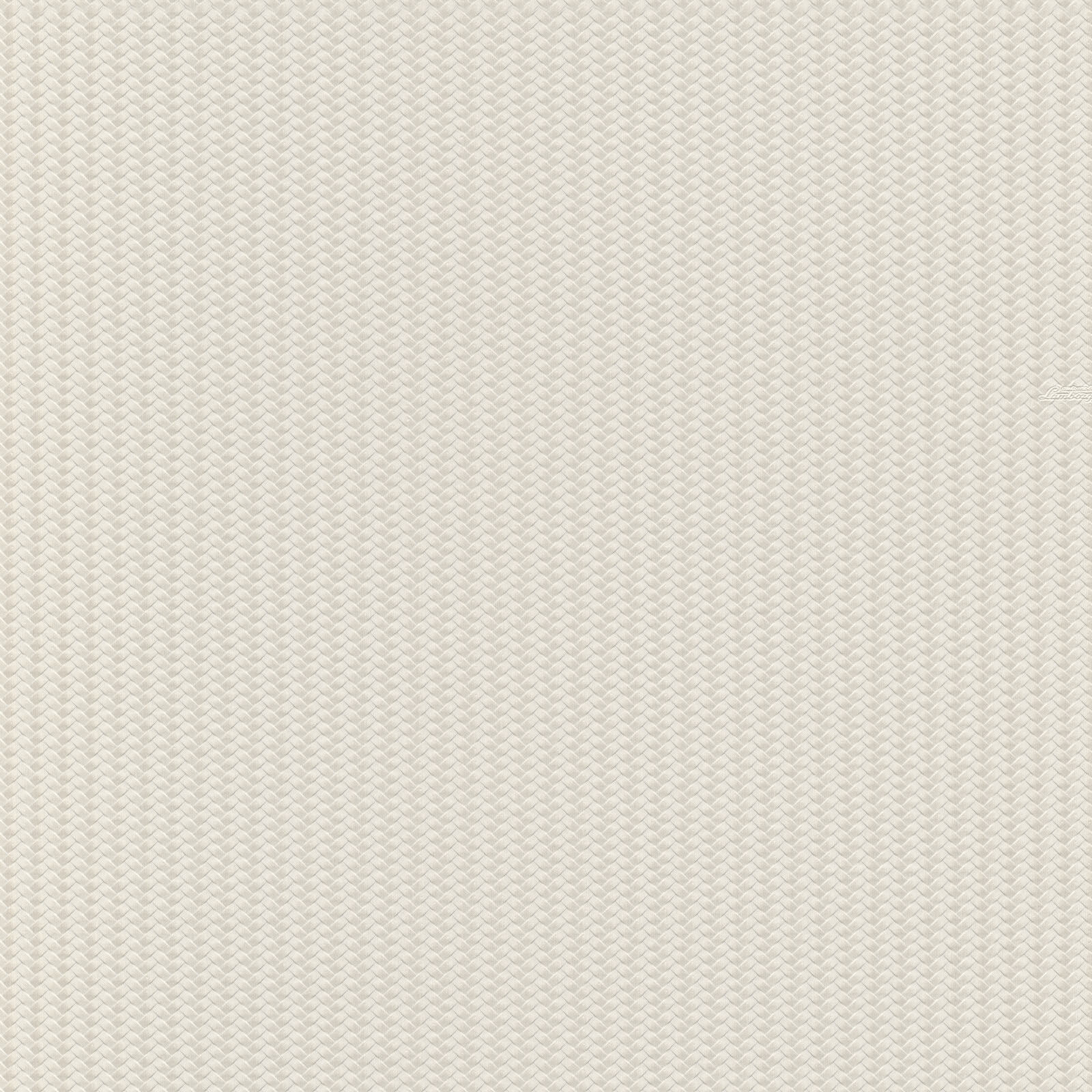 Wit Grafisch - ZM46-0812 - Image1 - Lamborghini - Z12846