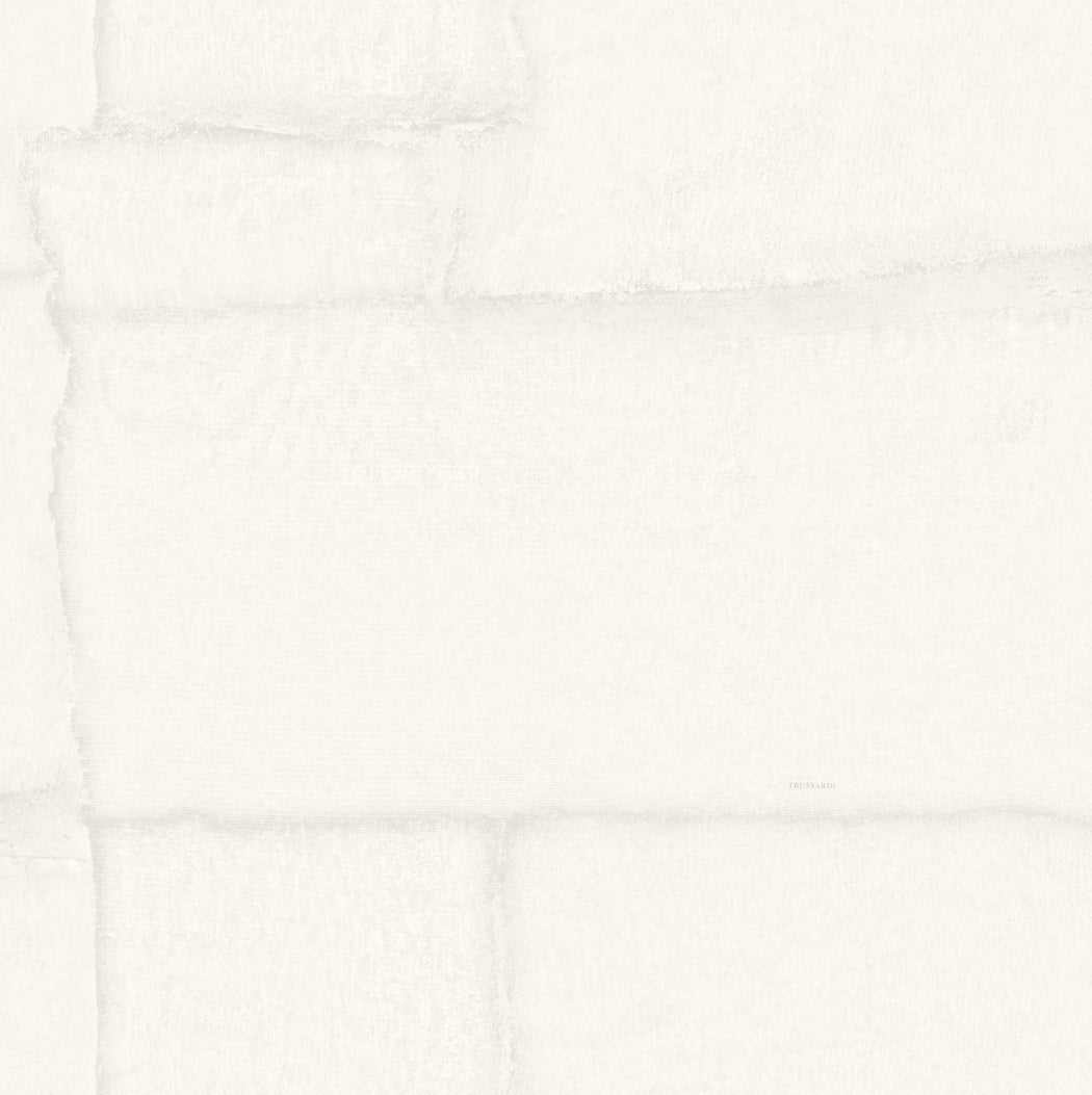 Wit Abstract - ZM02-0330 - Image1 - Trussardi 8 - Z30302