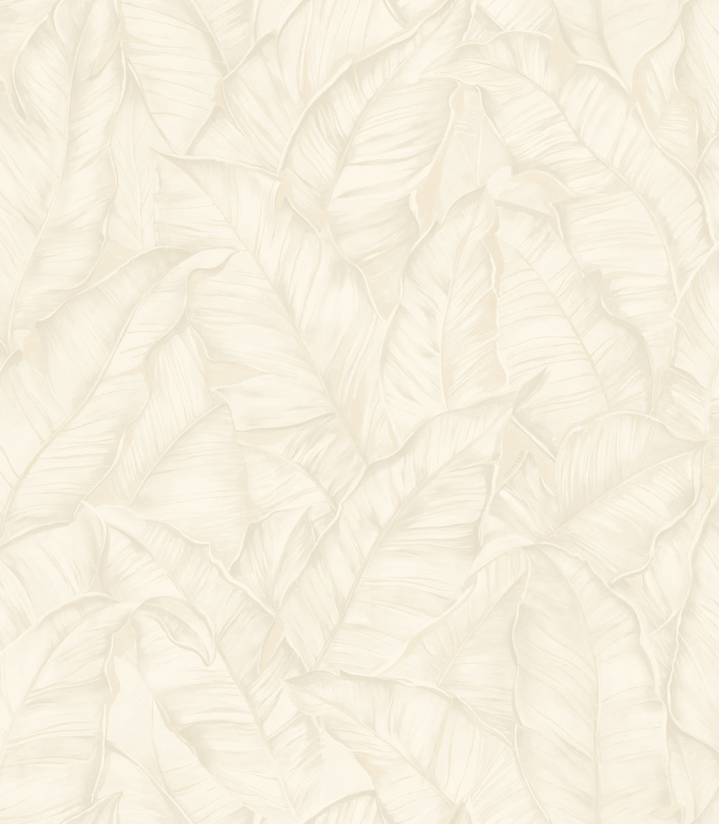 Wit Botanisch - ZM08-0330 - Image1 - Trussardi 8 - Z30308