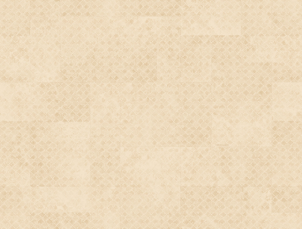 Wit Grafisch - ZM46-0330 - Image1 - Trussardi 8 - Z30346