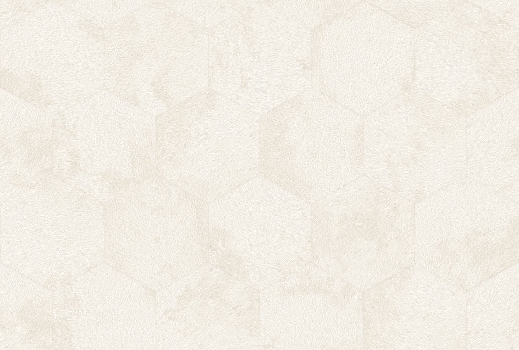 Wit Grafisch - ZM26-0081 - Image1 - Philipp Plein 2 - Z81026