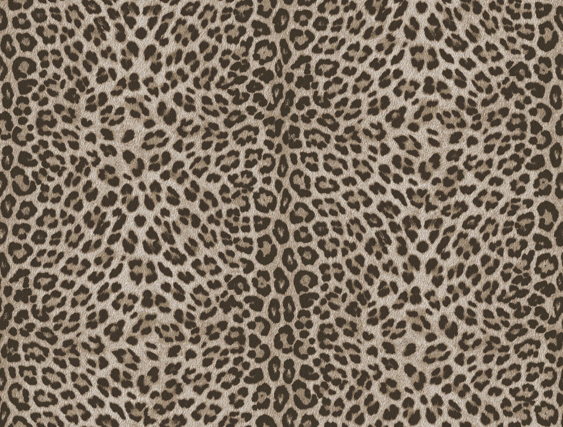 Beige Dieren - ZM28-0081 - Image1 - Philipp Plein 2 - Z81028